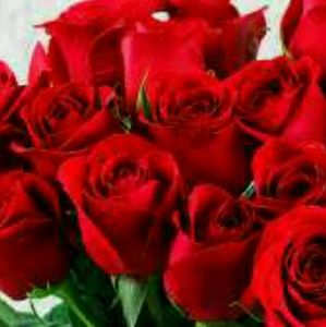 Meet your Posher, Paris